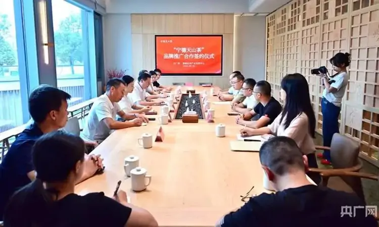 央广网与蕉城区战略合作 赋能“宁德天山茶”地标产业升级