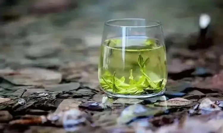 为什么有时喝茶会喝出“水味”？