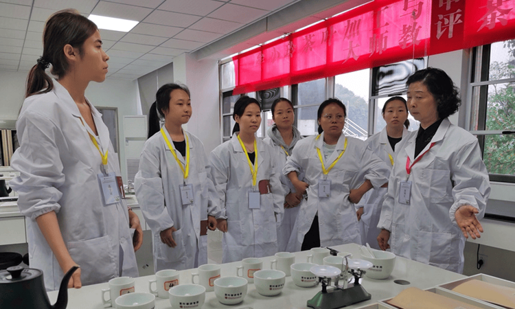 中国制茶大师牟小玲：名师开悟传“茶”道，技能照亮好“黔”程