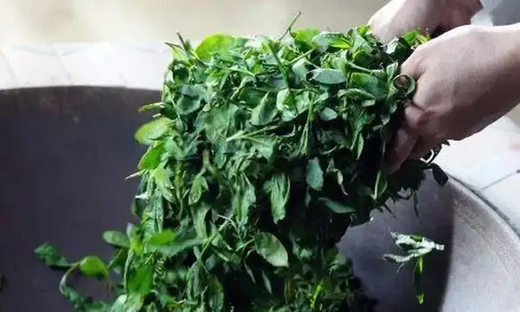 安溪铁观音的制作工艺有哪些？