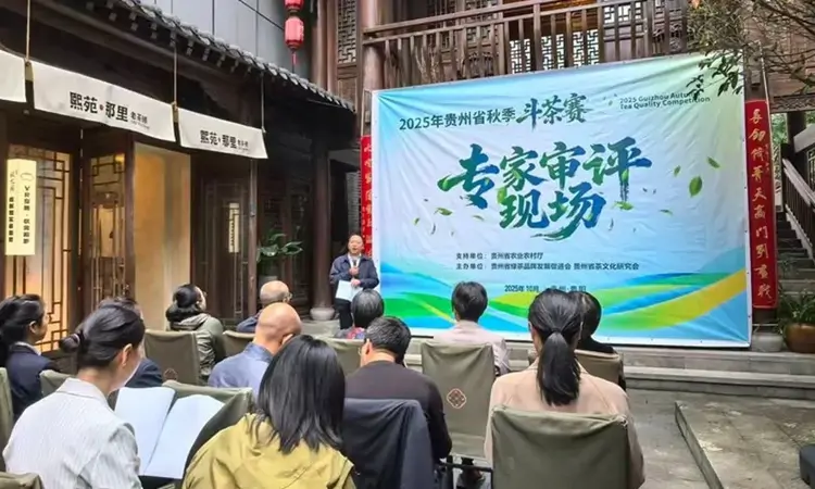 2025年贵州省秋季斗茶赛专家审评会在贵阳启幕