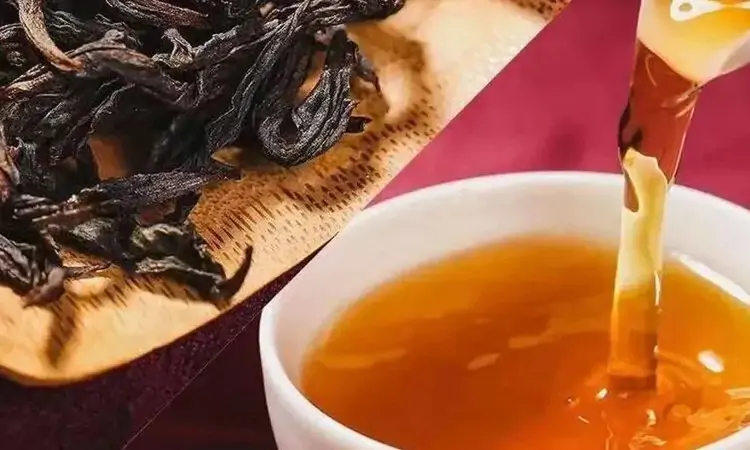 闽北青茶和闽南青茶的区别