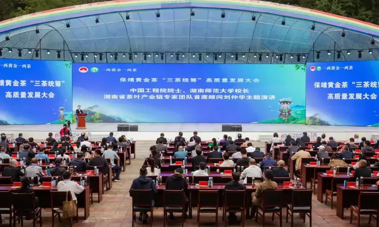 做好“三茶统筹”文章 湖南红茶年综合产值逾280亿元