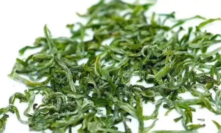 绿茶的最佳品饮期是多长?喝不完的绿茶该如何保存?