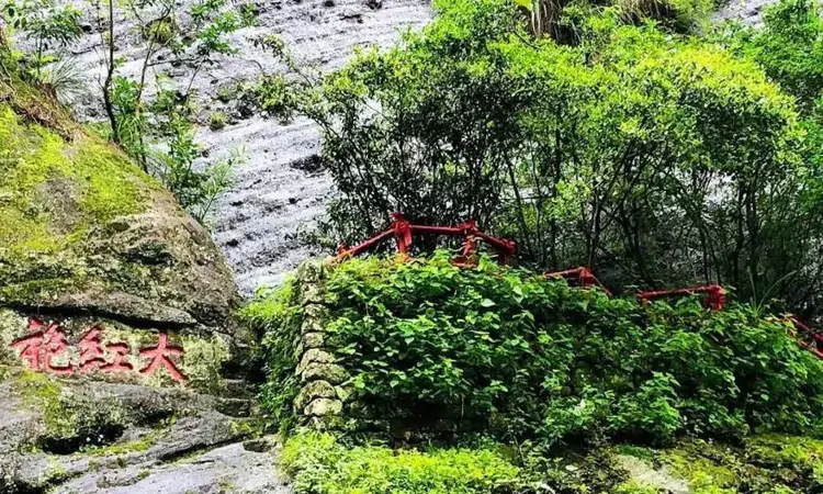 历史悠久岩韵独特的武夷岩茶
