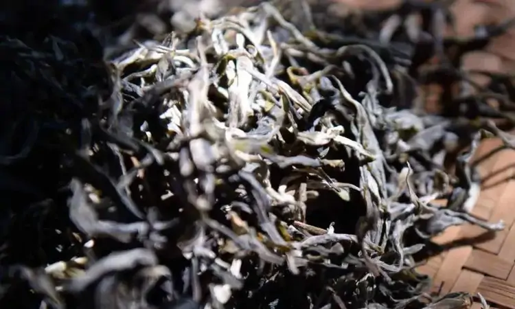 引起茶叶品质劣变的主要因素有哪些?