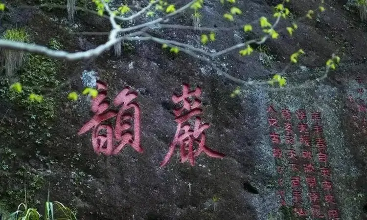 按照产地，青茶是怎样分类的？