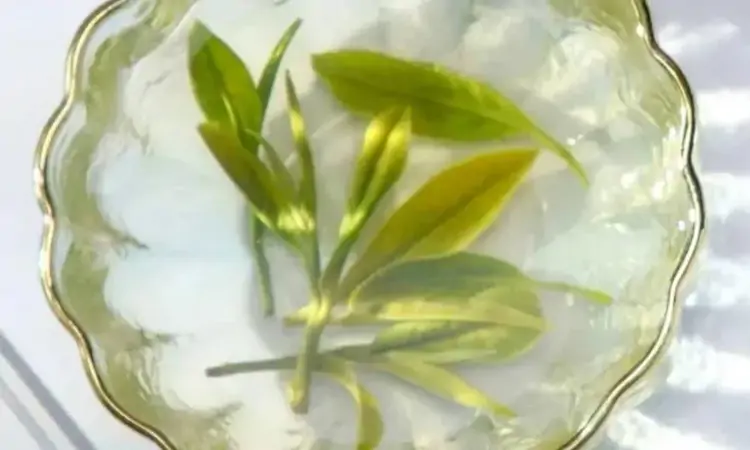 松萝改名的故事