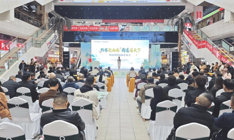 共探黔茶发展新路｜西南茶村正式招商啦，商机无限！