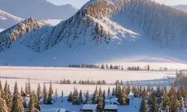 冬天为什么多喝红茶？