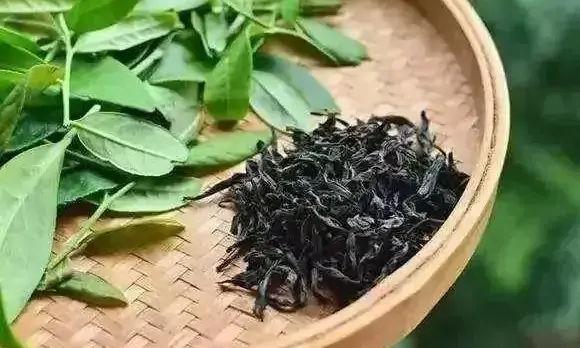 先秦纳贡的茶文化