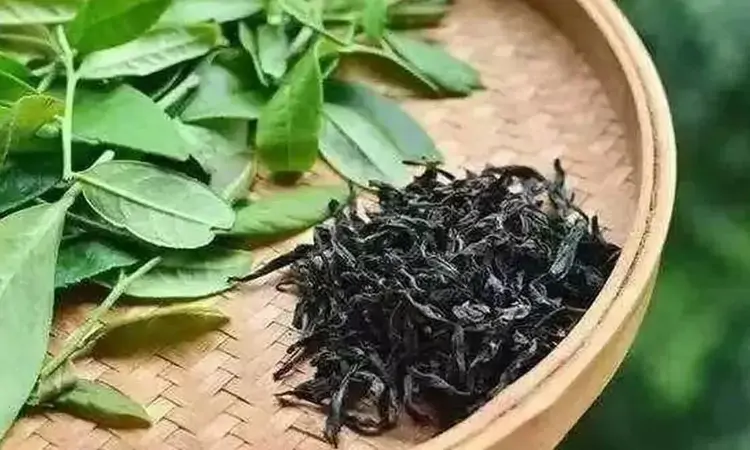 青茶的起源与变更是怎么回事?