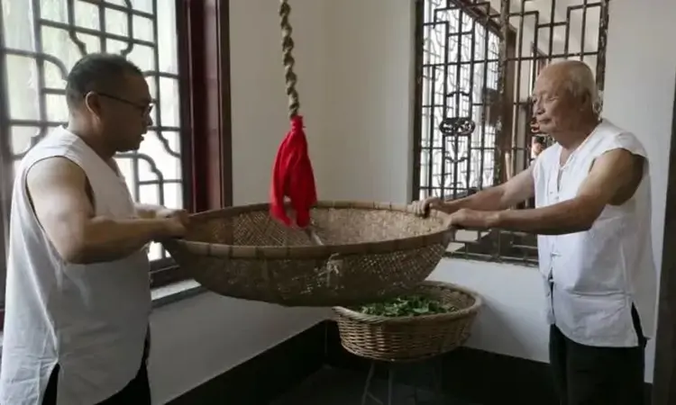 山西平定连翘茶：从“皇室贡品”到“富民引擎”的华丽蝶变