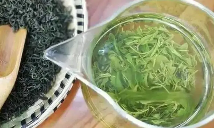 江西吉安龙舞茶