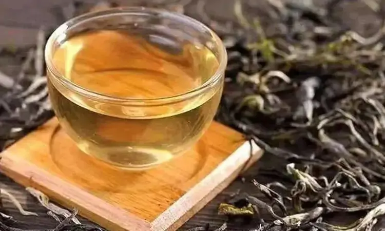 普洱茶是怎么产生和发展的?