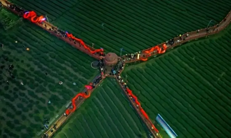 秀山：茶山飘满民俗香 小茶叶托起大民生