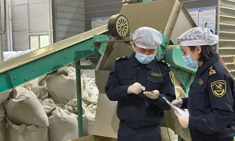 今年1—2月四川出口茶叶增长52．1％！海关服务做对了什么？