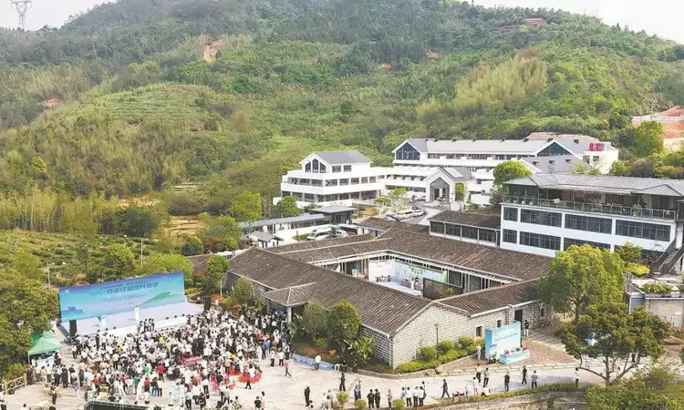 2026安溪铁观音开茶季启幕