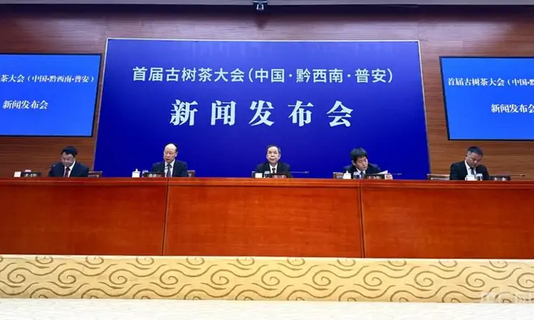 守护古茶遗珍共促永续发展！首届古茶树大会将在贵州普安举办