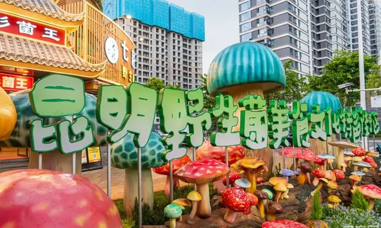 云南昆明：“菌香茶韵·烟火关上”五一文旅活动即将启动