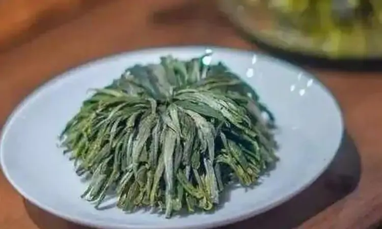 黄山绿牡丹