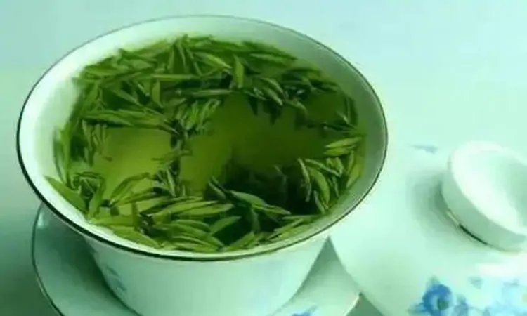 屯溪绿茶介绍