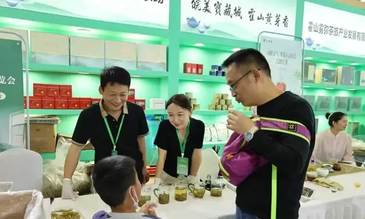 霍山黄芽惊艳亮相茶博会