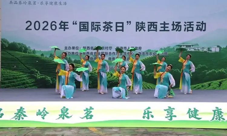 2026年“国际茶日”陕西主场活动在陕西商洛启动