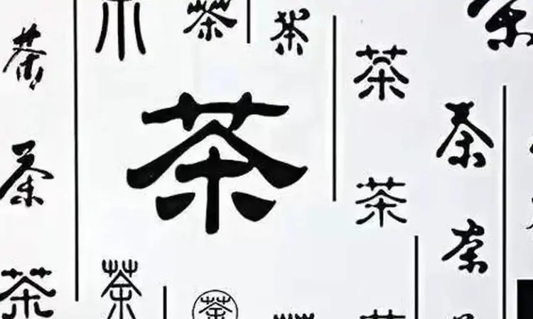 茶字的创造