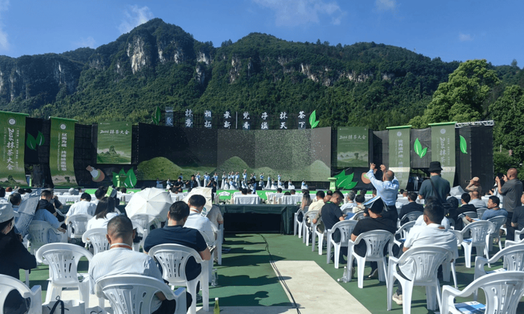 梵净抹茶 香溢天下｜2026抹茶大会在贵州铜仁盛大开幕