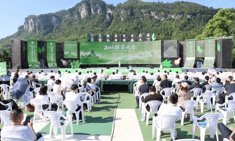 2026抹茶大会在铜仁江口开幕