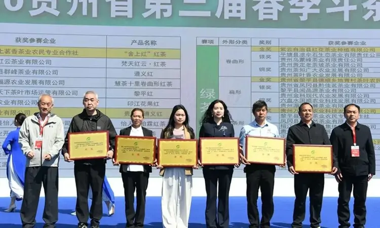 黎平雀舌再夺贵州省春季斗茶赛金奖