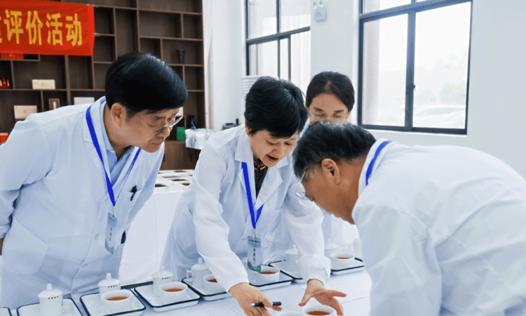 2026年来宾市茶产业高质量发展会议在金秀举办
